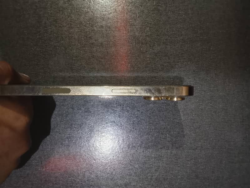 Apple iPhone 12 Pro Max 1