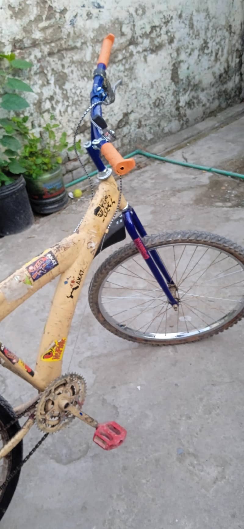 bicycle 0