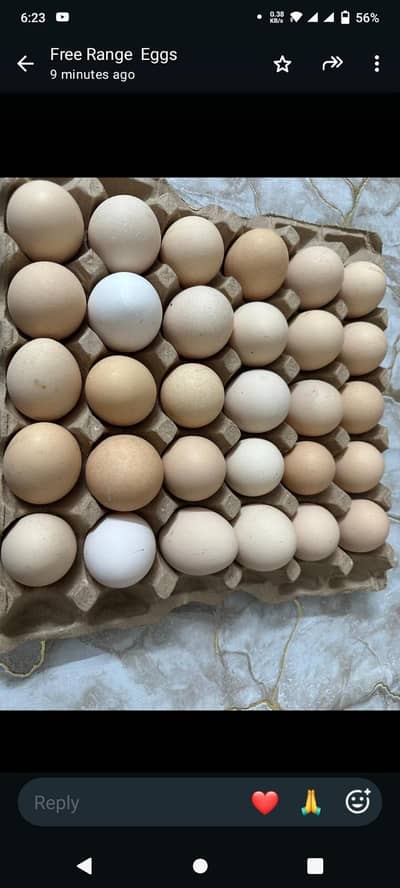 Desi Eggs Available