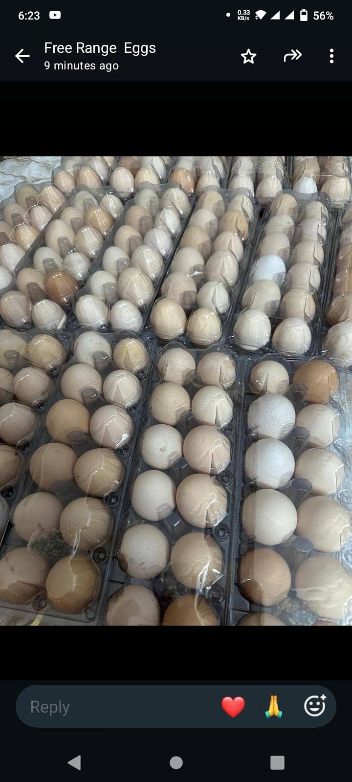 Desi Eggs Available 1