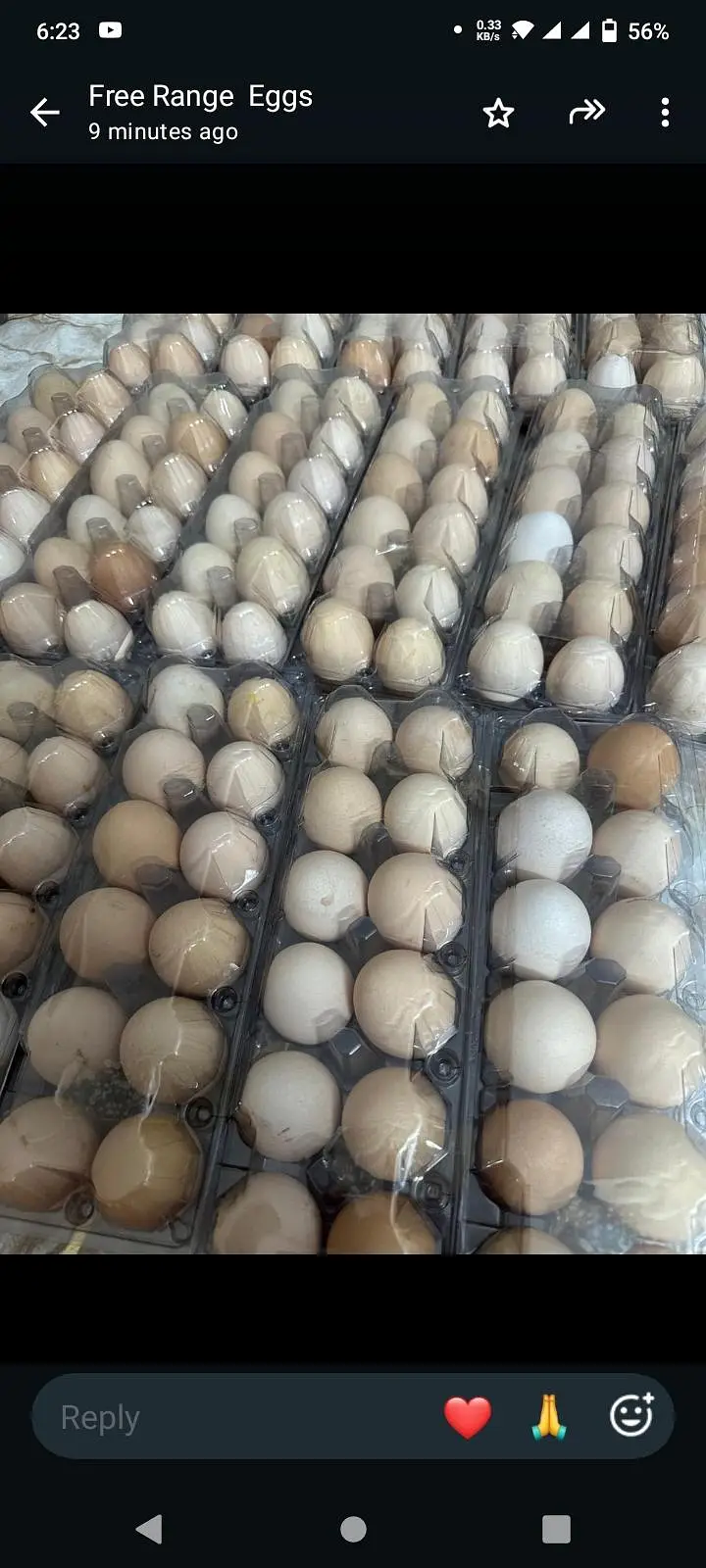 Desi Eggs Available — photo 2