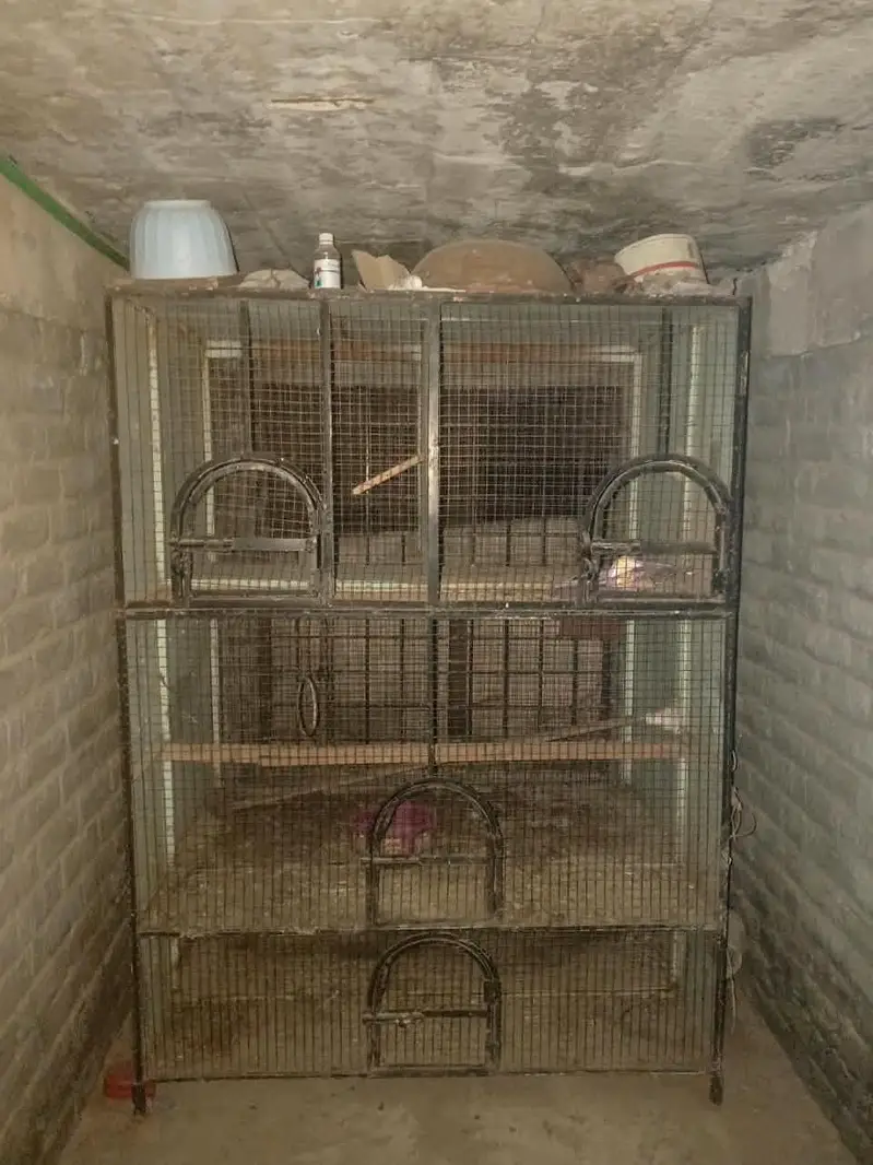 used cages — photo 4