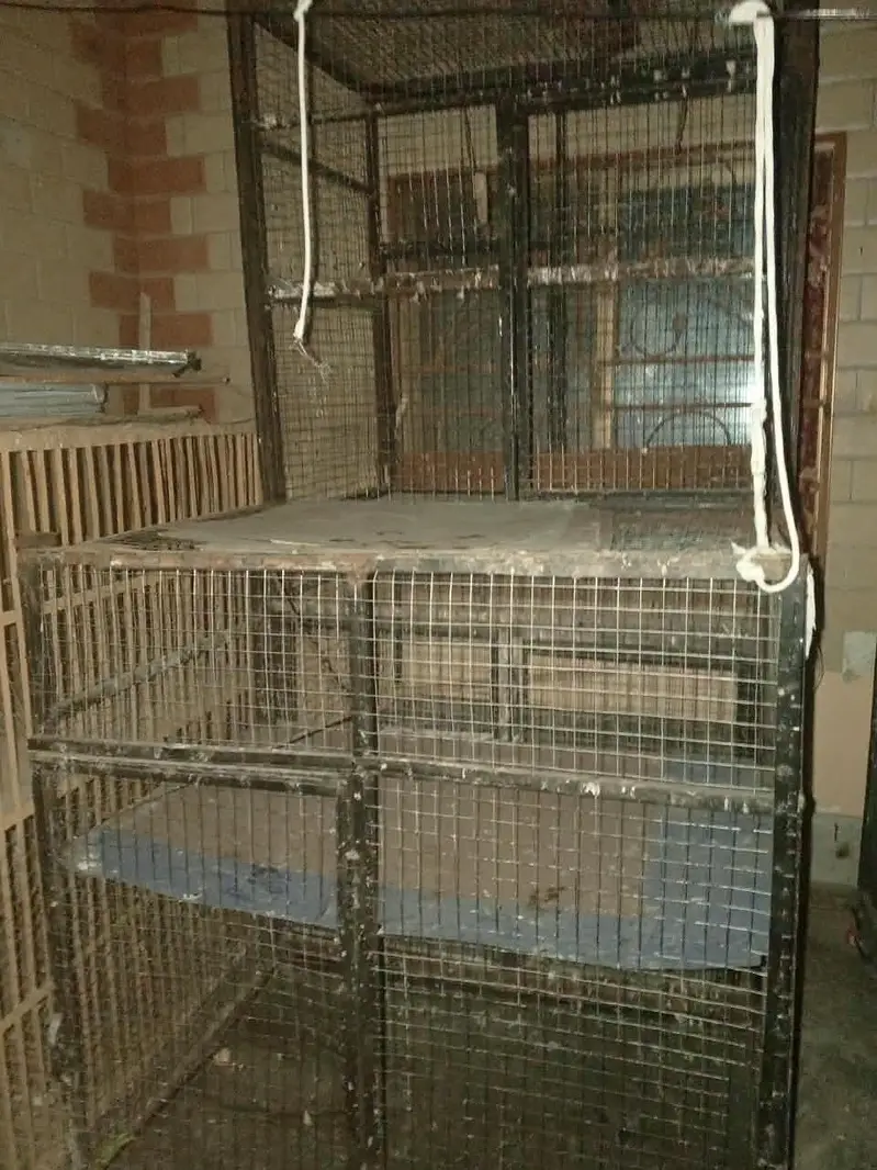 used cages — photo 5