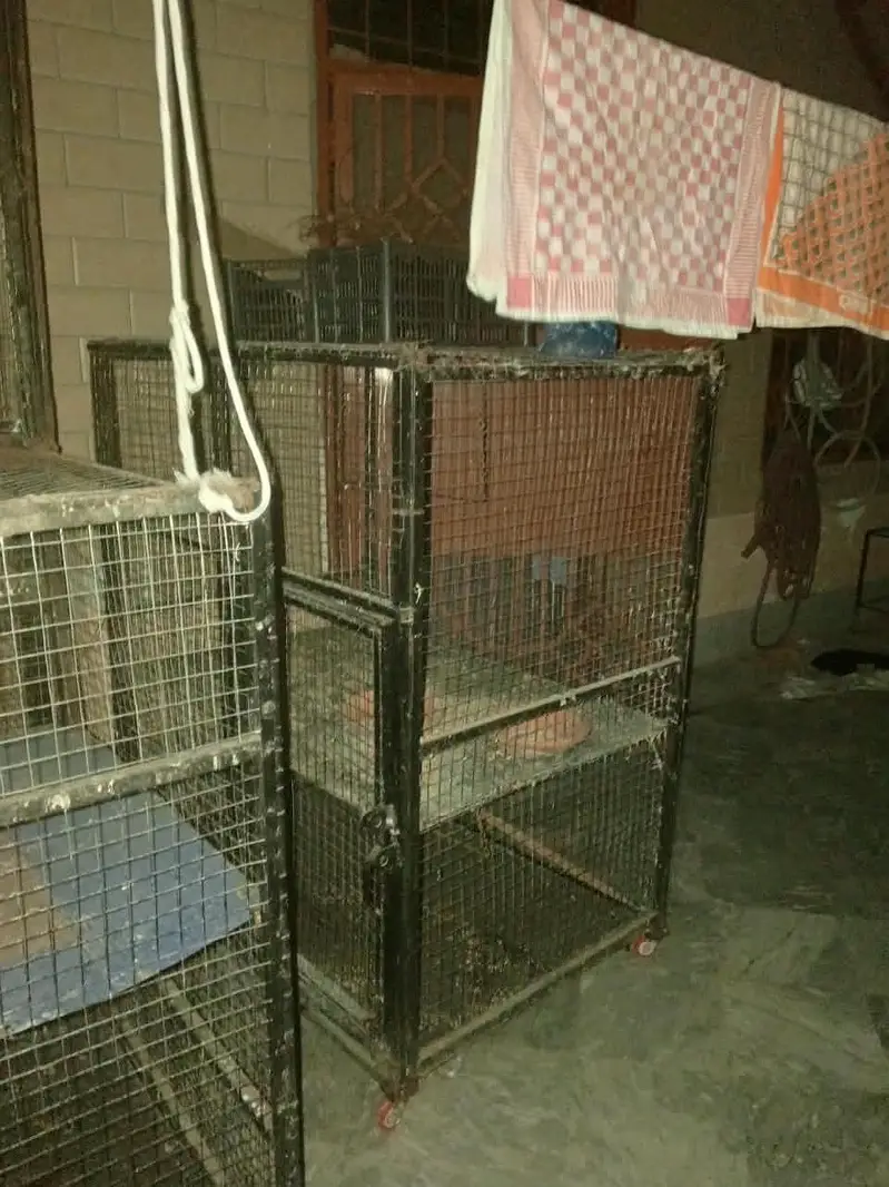 used cages — photo 6