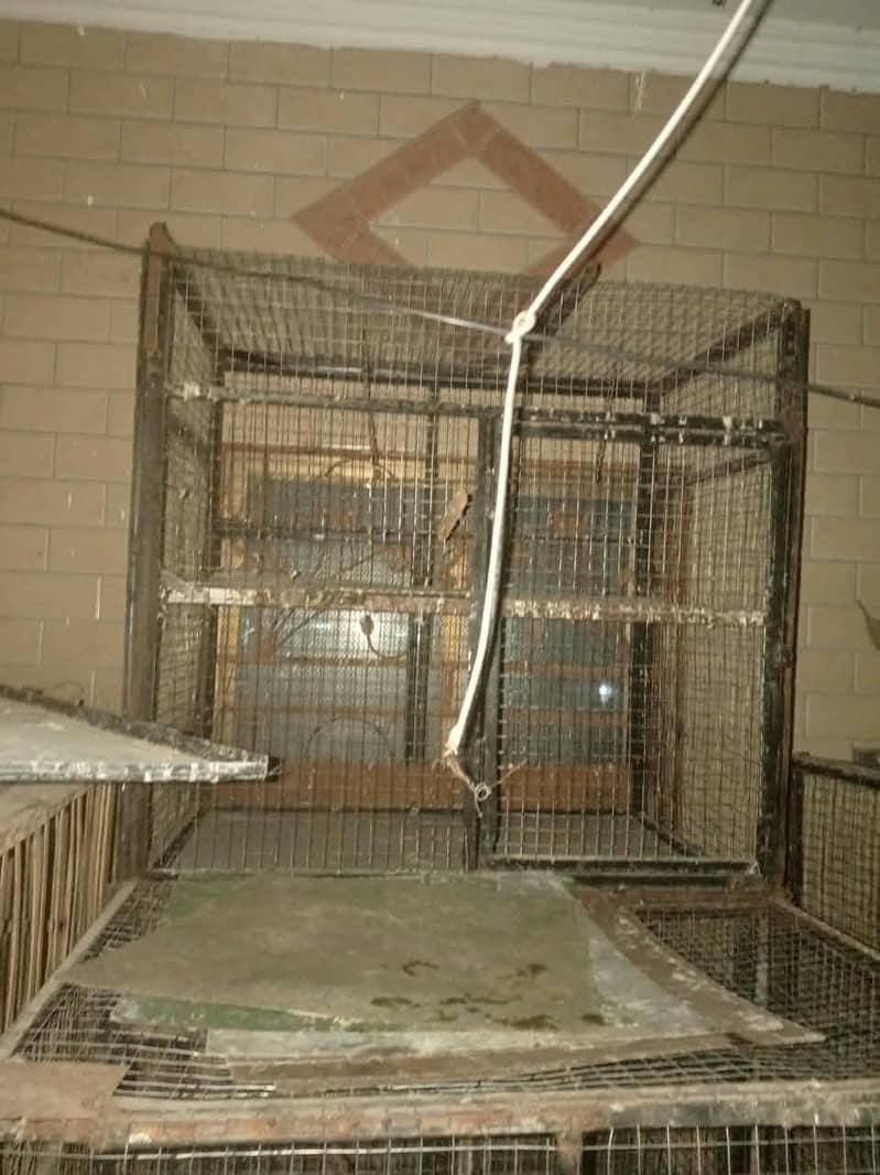 used cages 6