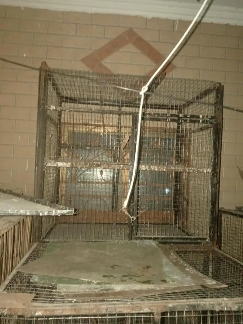 used cages — photo 7