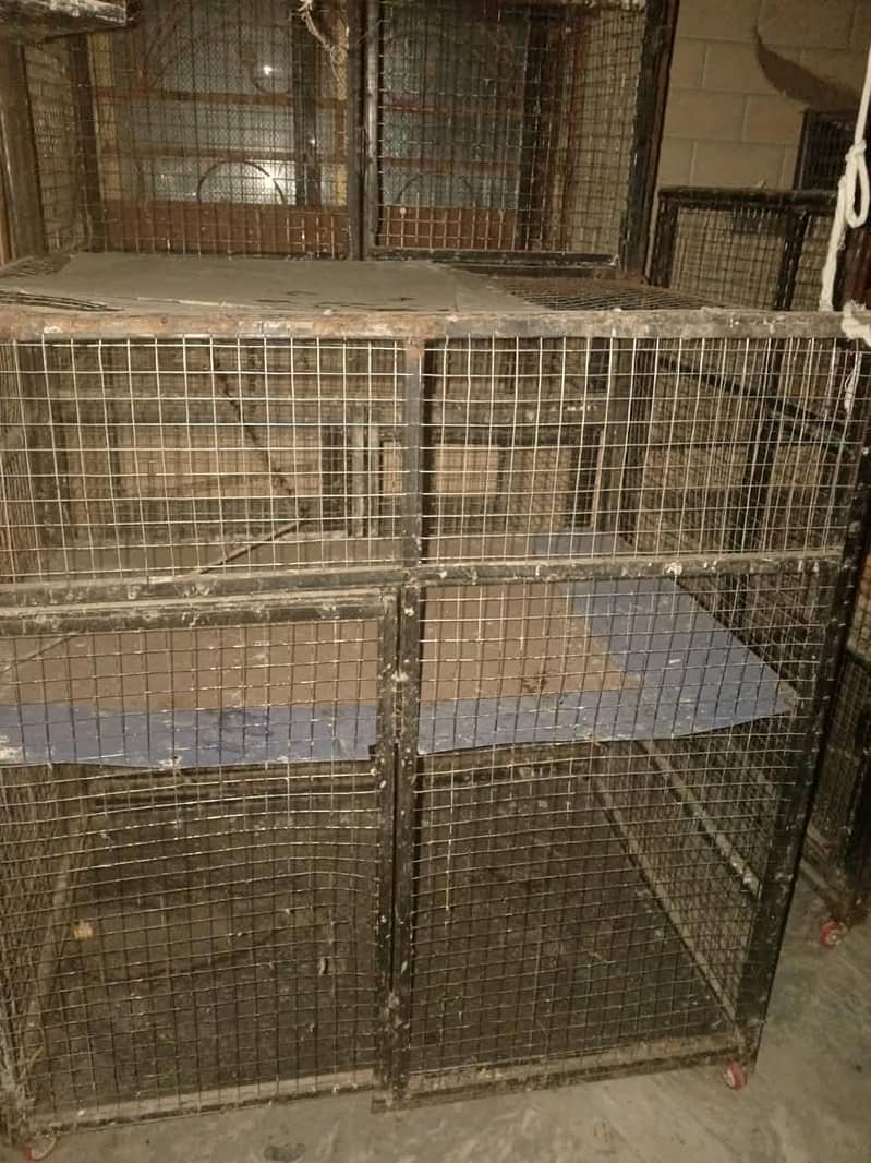 used cages 8