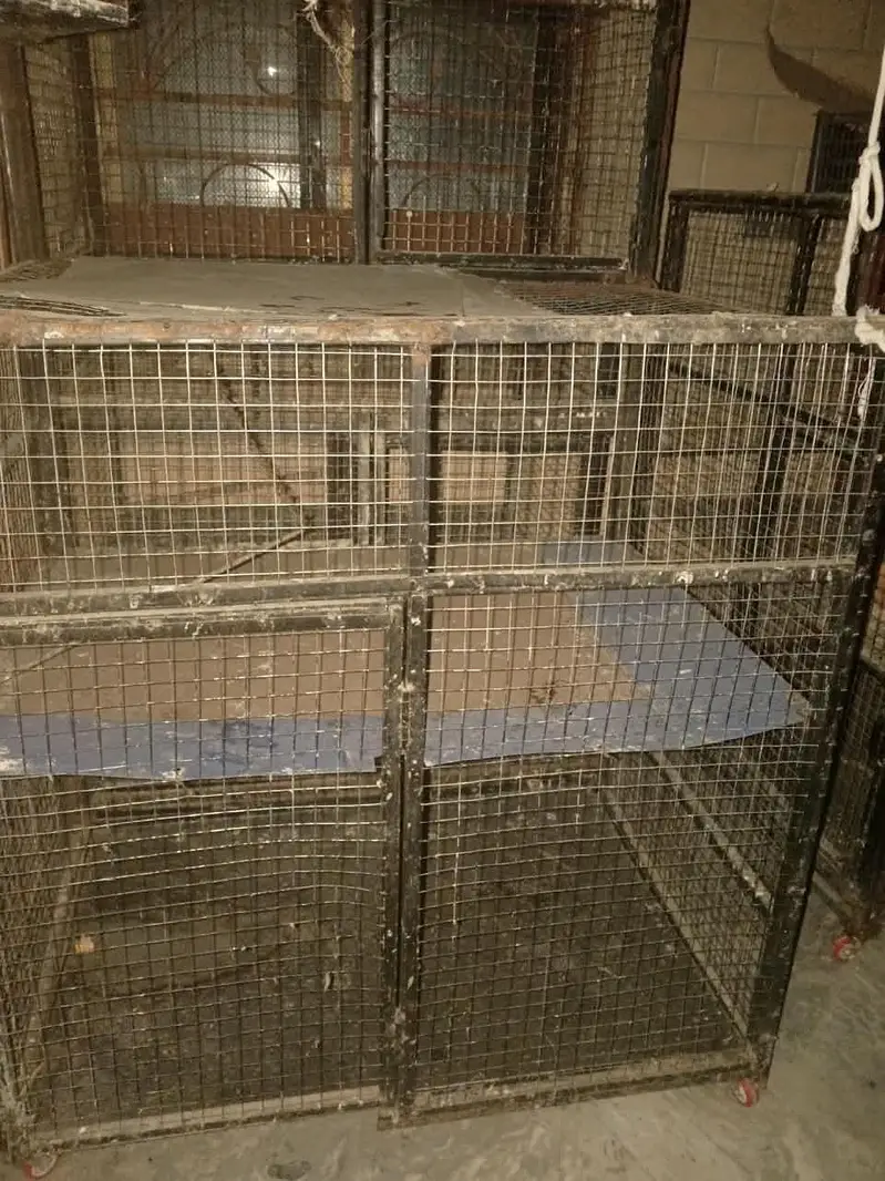 used cages — photo 9