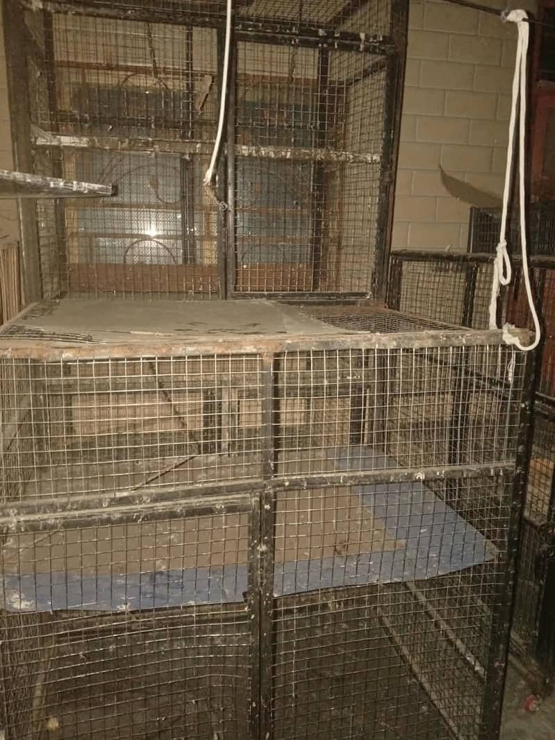 used cages 10