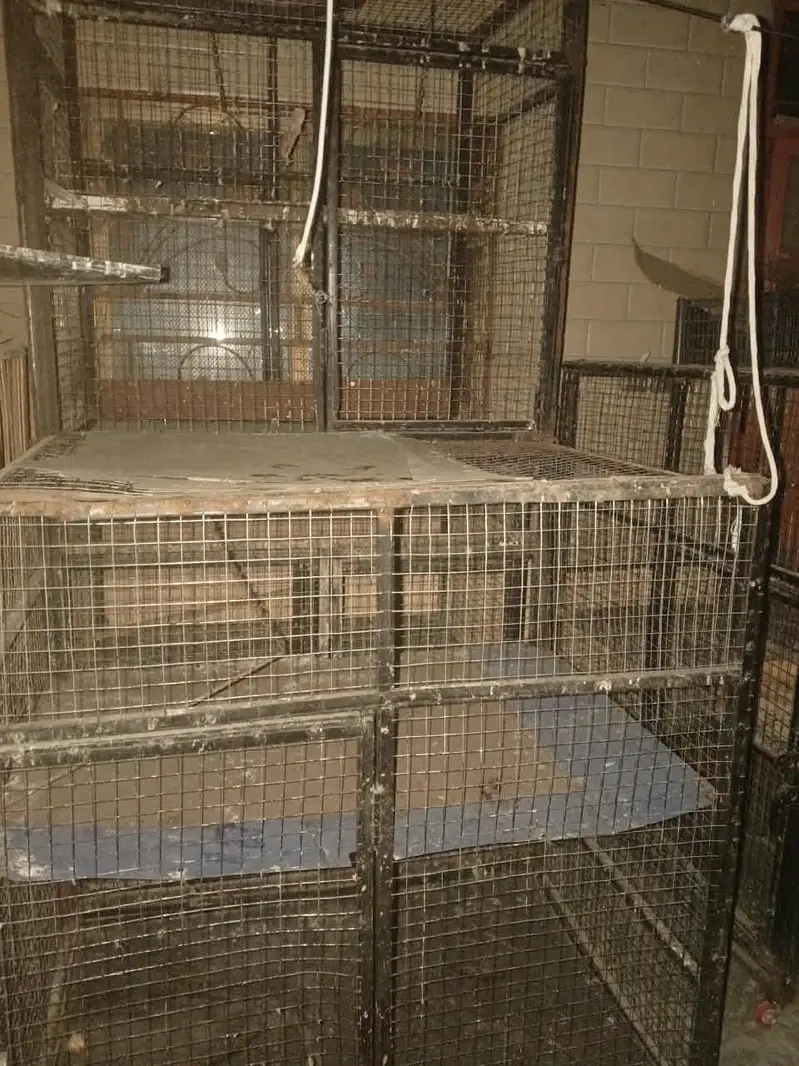 used cages — photo 11