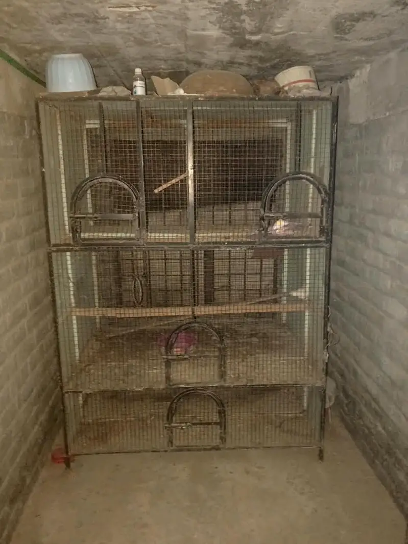 used cages — photo 12