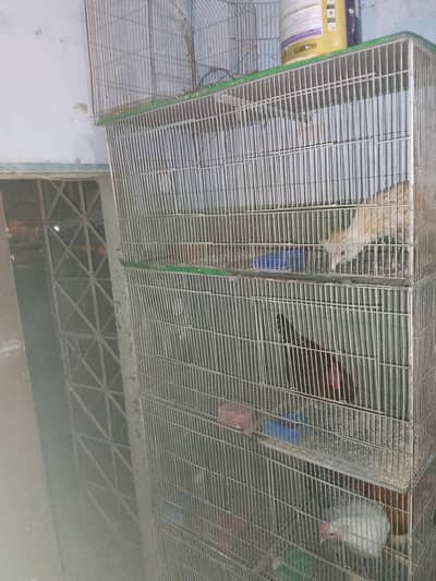8 portions cages available for sale