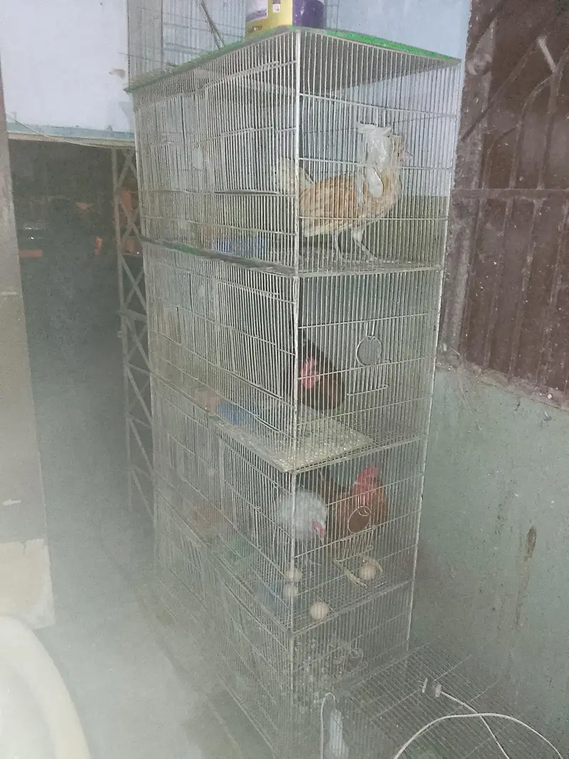 8 portions cages available for sale — photo 3