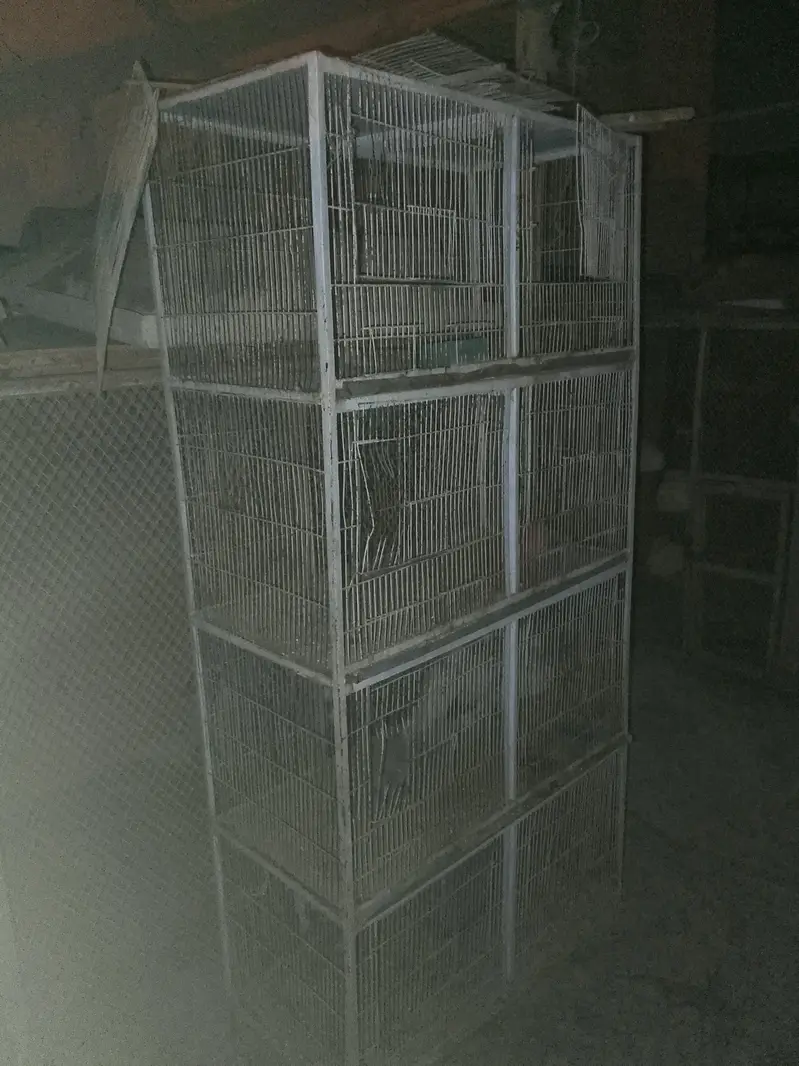 8 portions cages available for sale — photo 4