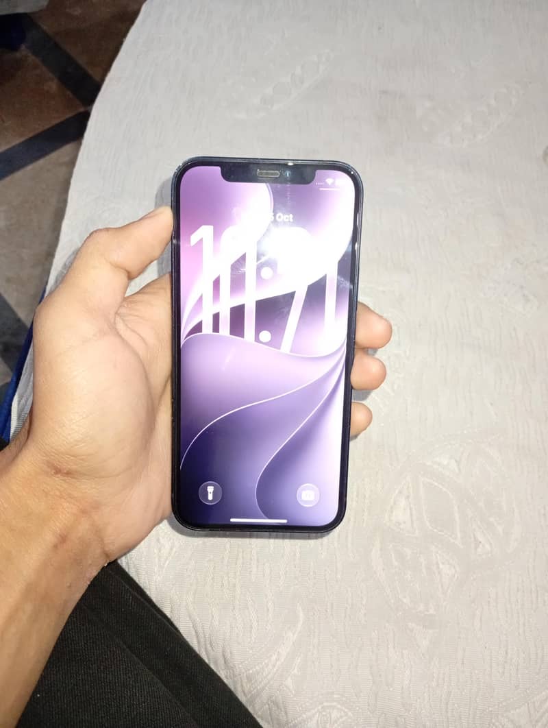 Apple iPhone 12 1