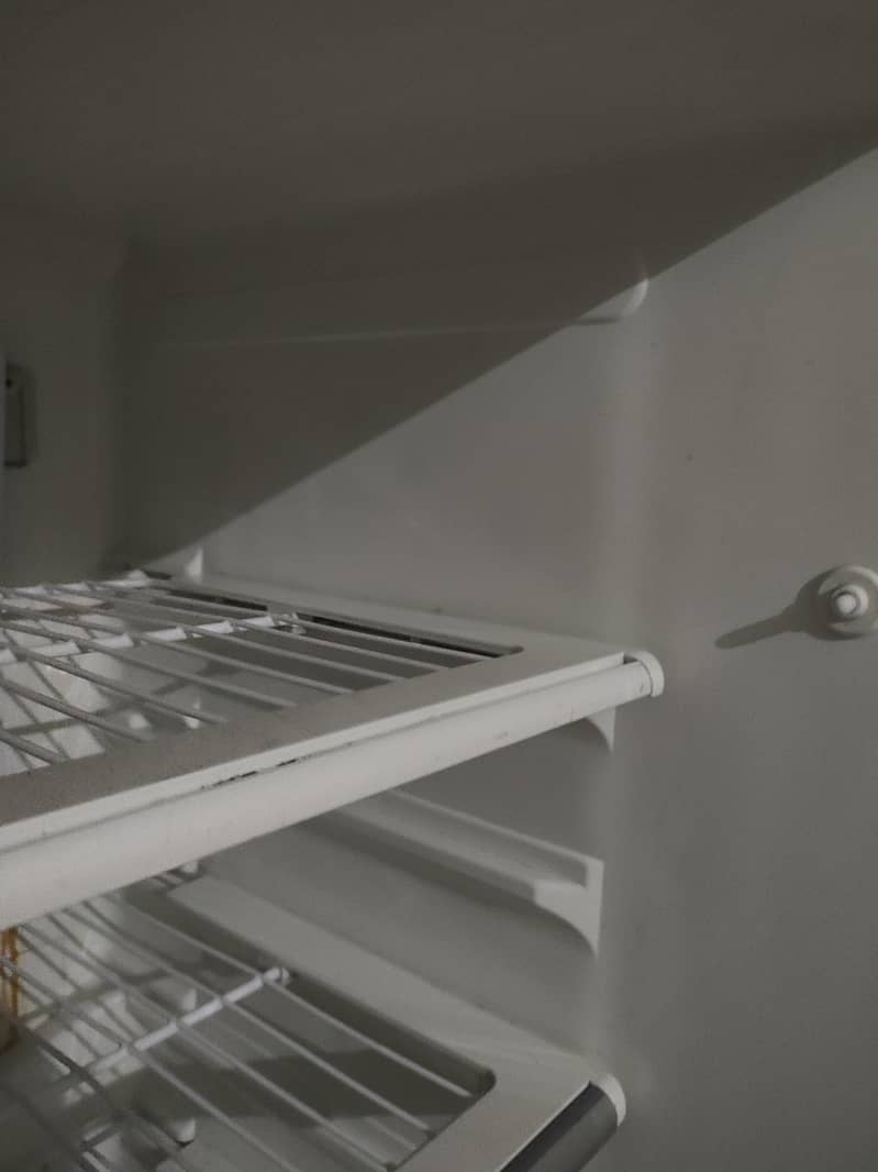 fridge 2