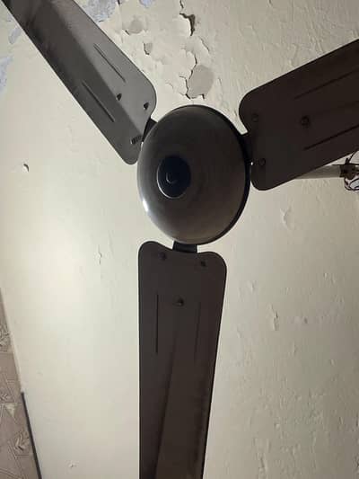 super AISA fan all okay urgent sale. . .
