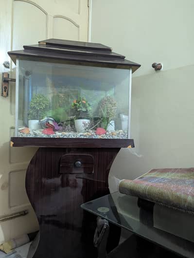 Aquarium with asseseries