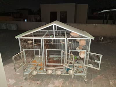 cage for birds hens parrots for sale