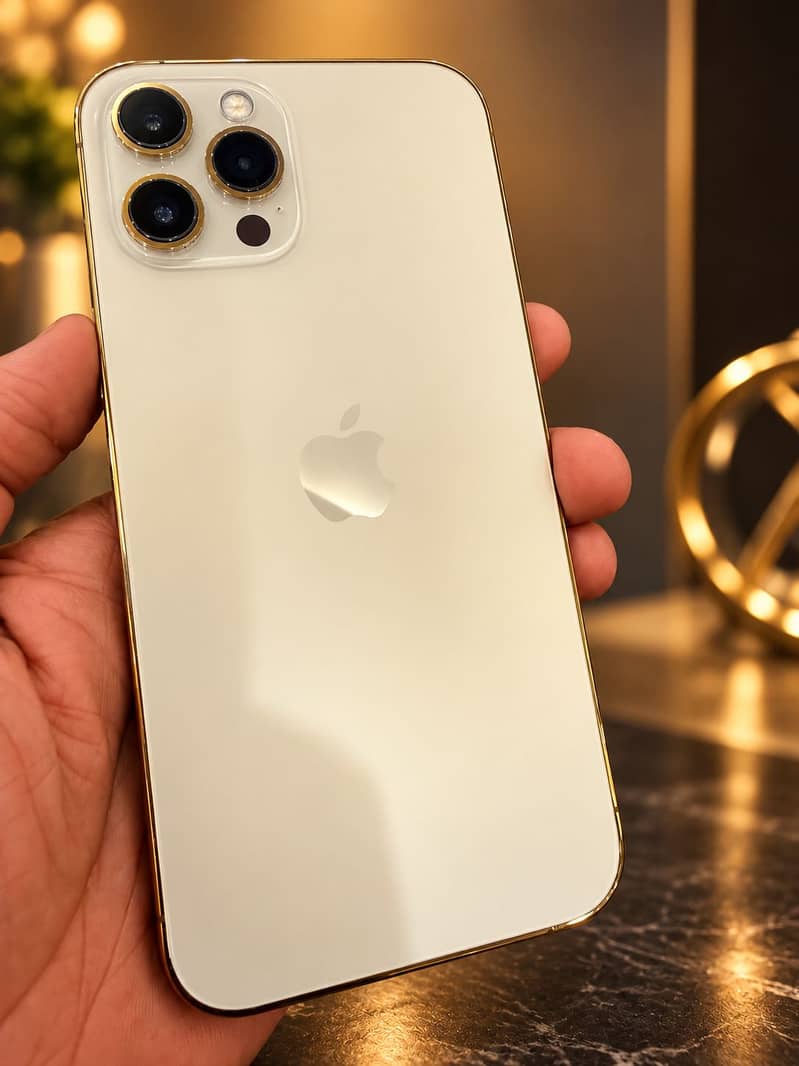 Apple iPhone 12 Pro Max 1