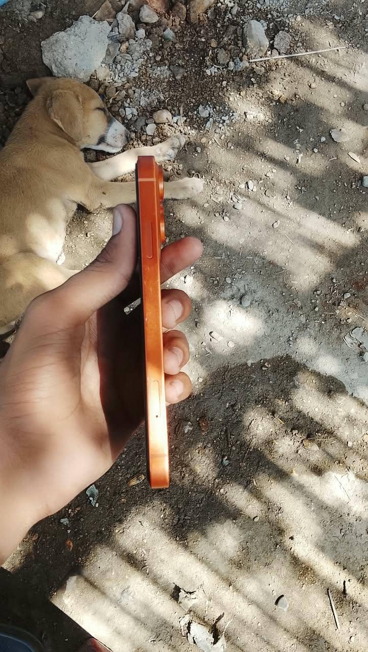 Apple iPhone XR 3