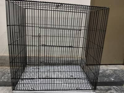 cage parrot