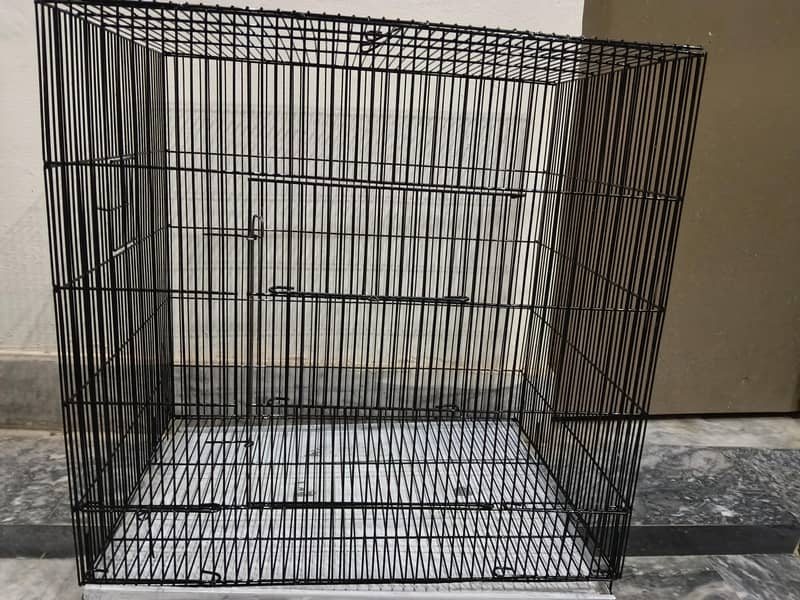 cage parrot 0