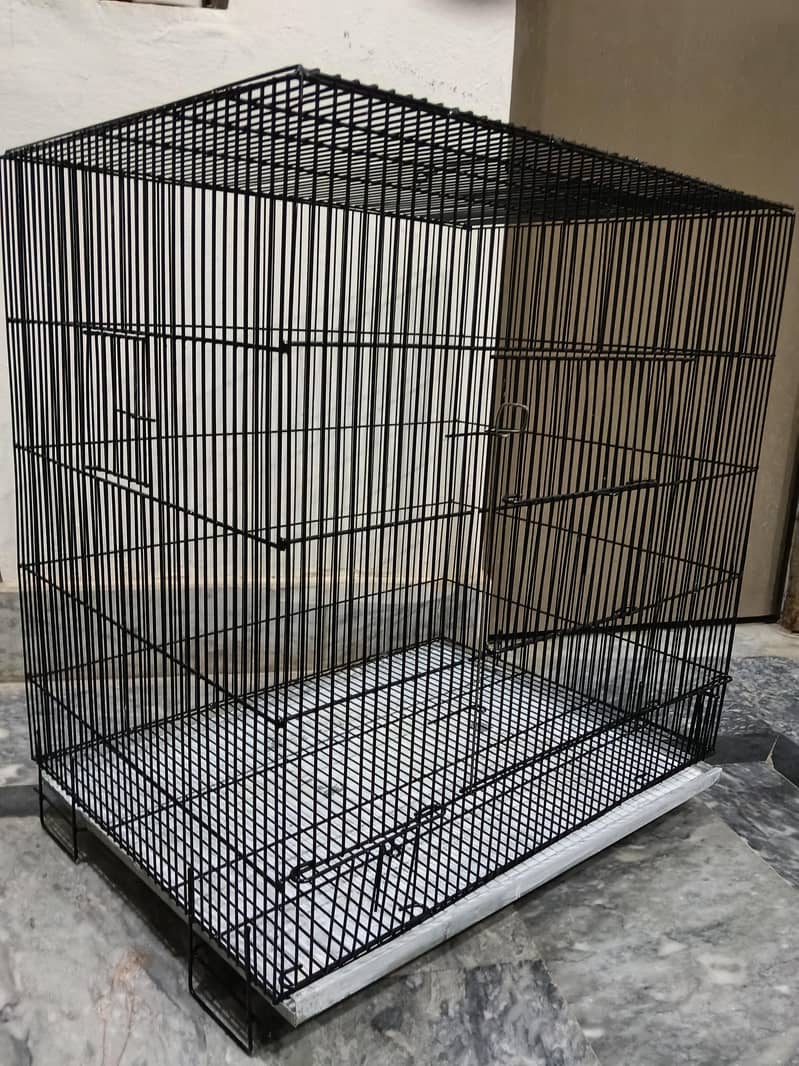 cage parrot 1