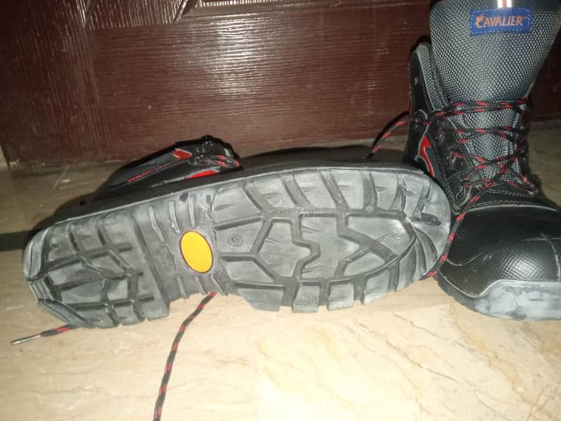 safety shoes 1