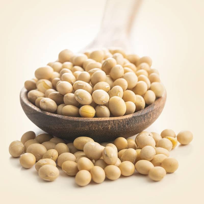 Soya bean 3