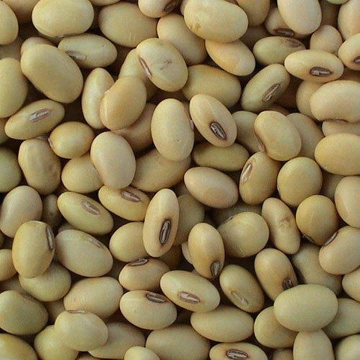 Soya bean 7