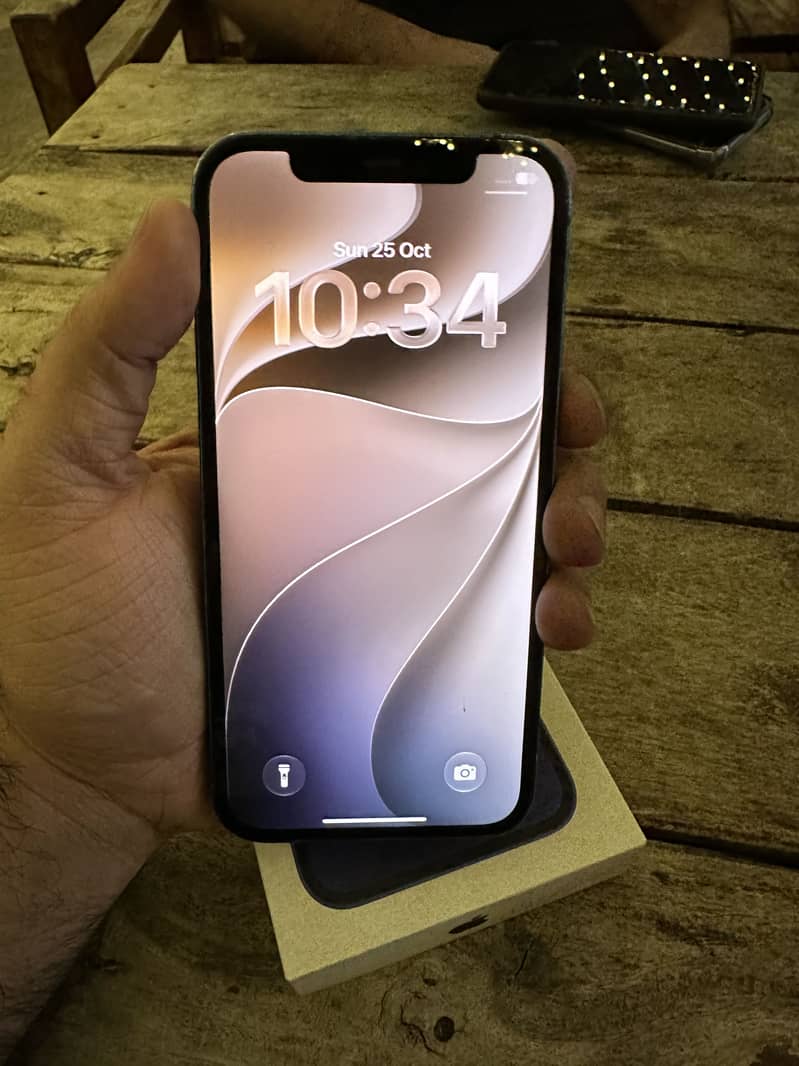 Apple iPhone 12 0