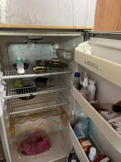 Refrigerator for Sale