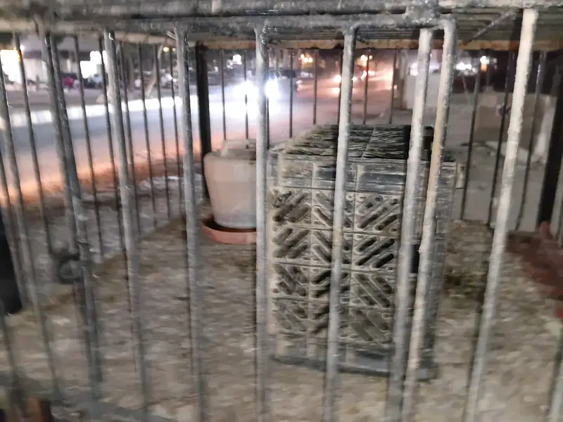iron cage for sale 10/10 condition — photo 5
