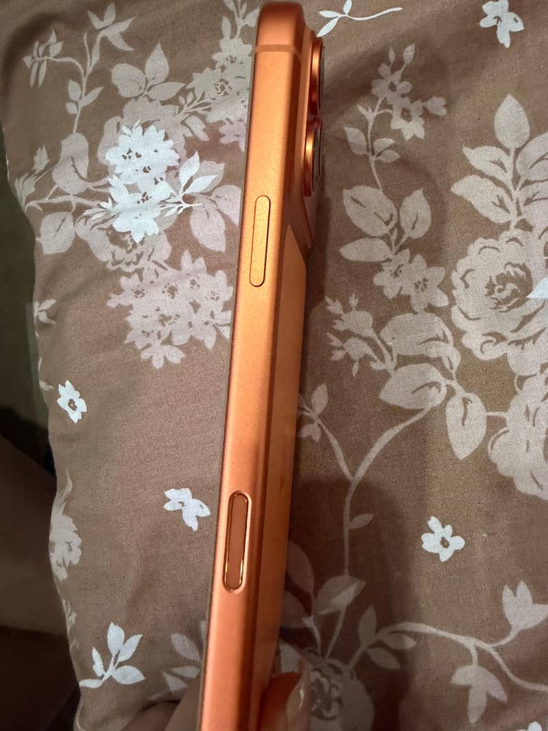 Apple iPhone 17 Pro Max 5
