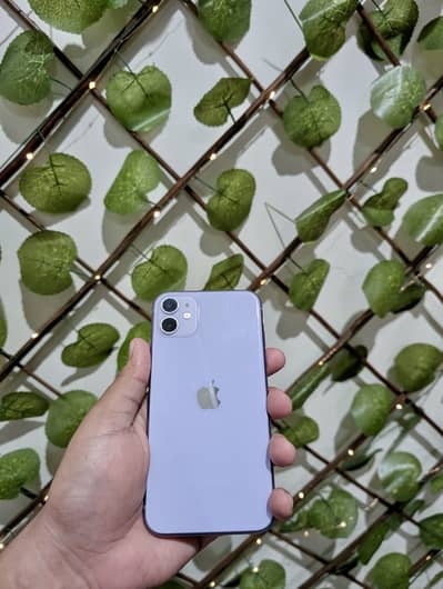 Apple iPhone 11
