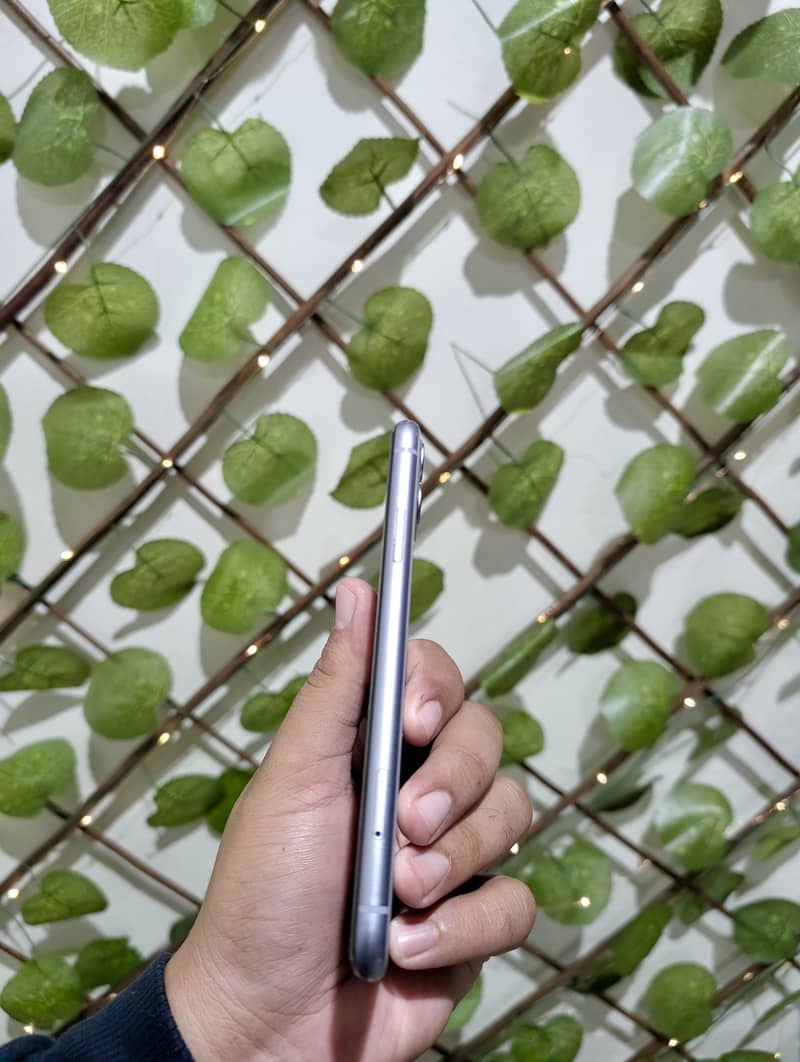 Apple iPhone 11 2