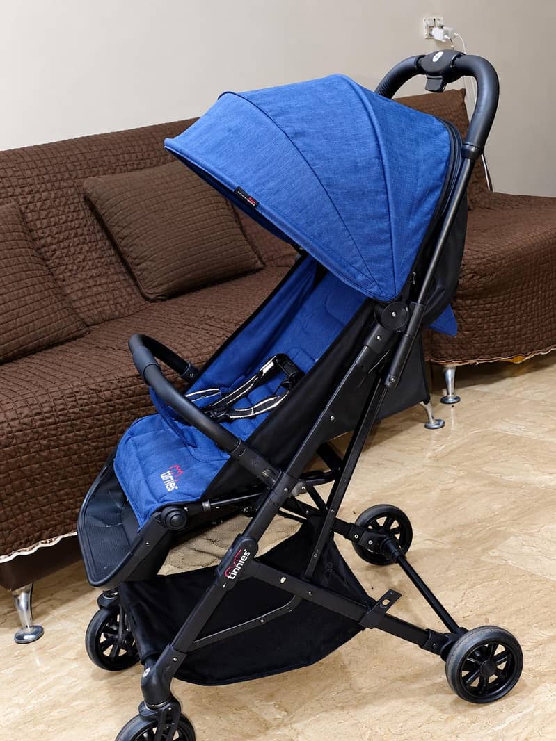 Tinnies Buggy 1