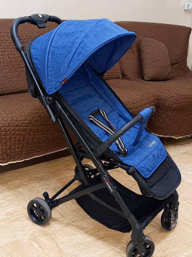 Tinnies Buggy 2