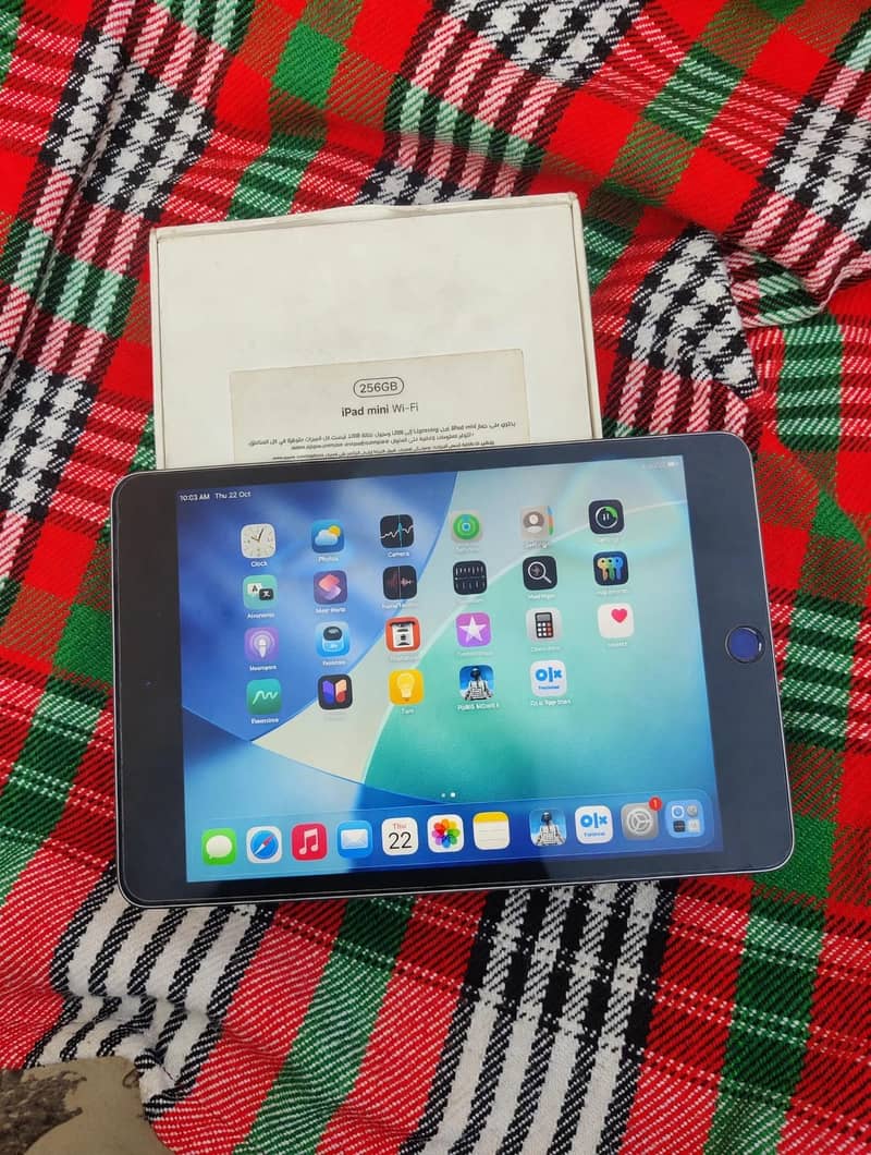 ipad mini 5 256gb with box 2