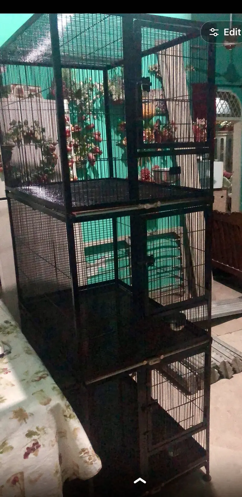Parrots Cage