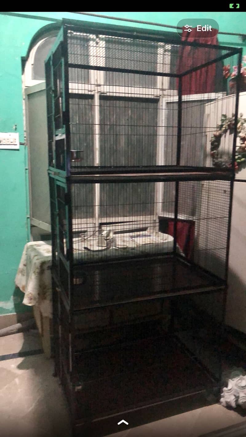 Parrots Cage 1