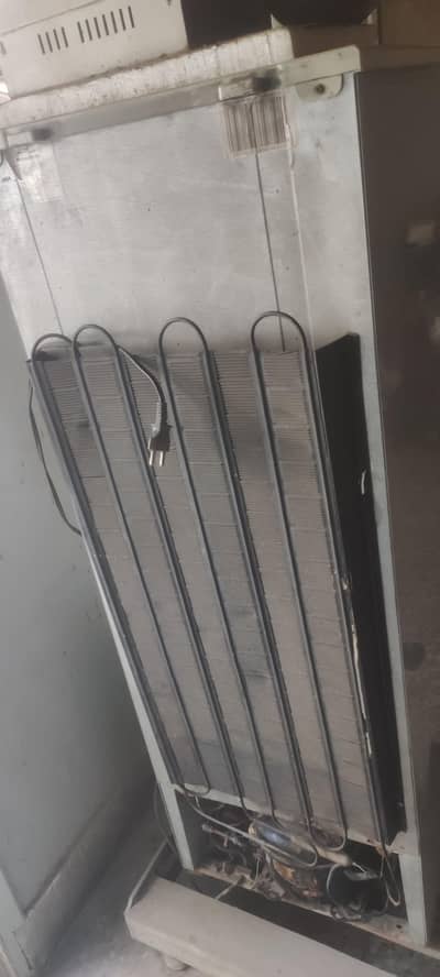 2 door  fridge medium size