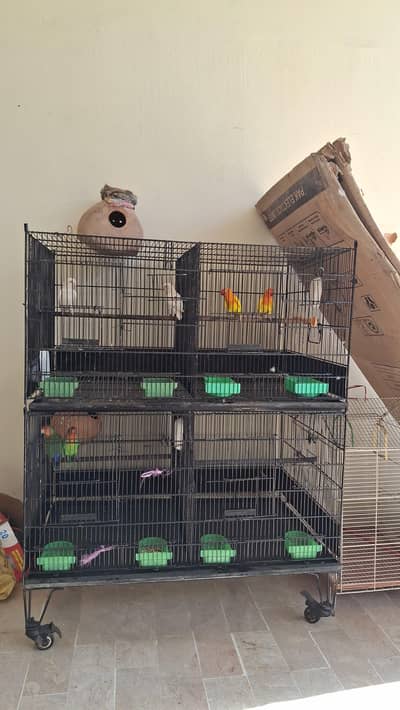 4 portion cage good condition