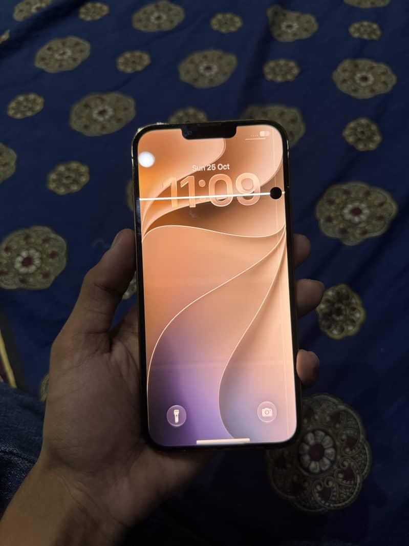 Apple iPhone 13 Pro Max 1