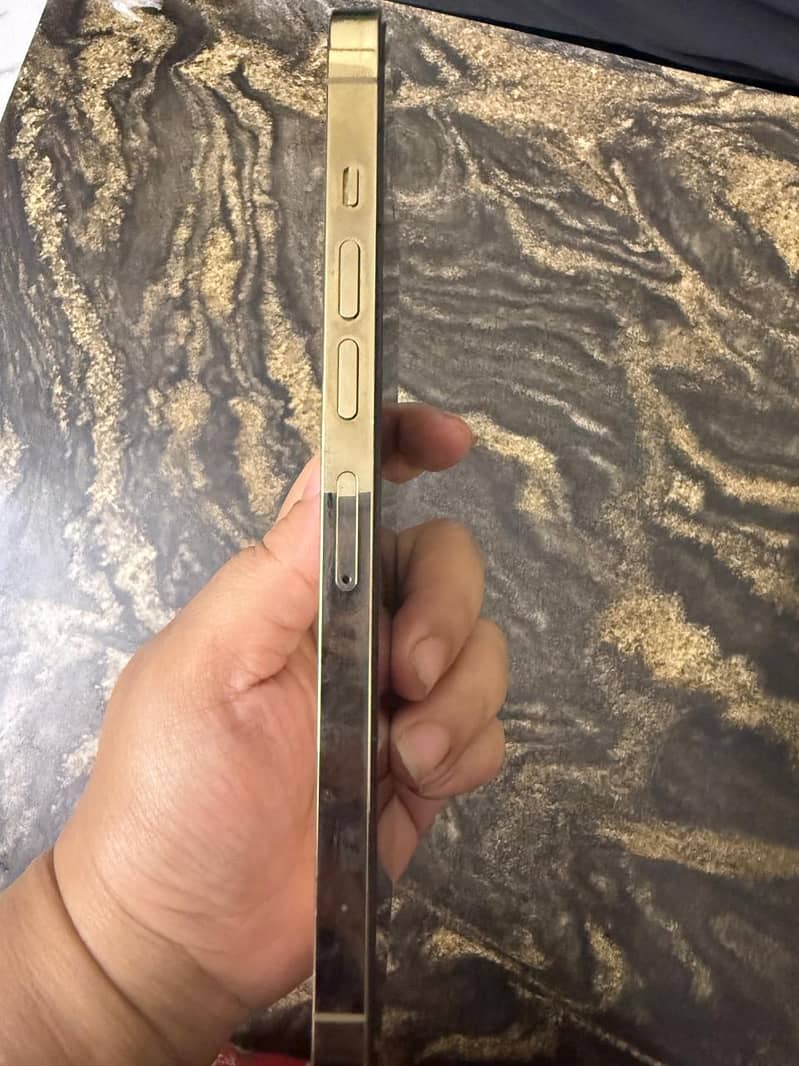 Apple iPhone 13 Pro Max 2