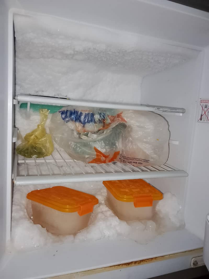 oriend fridge 2