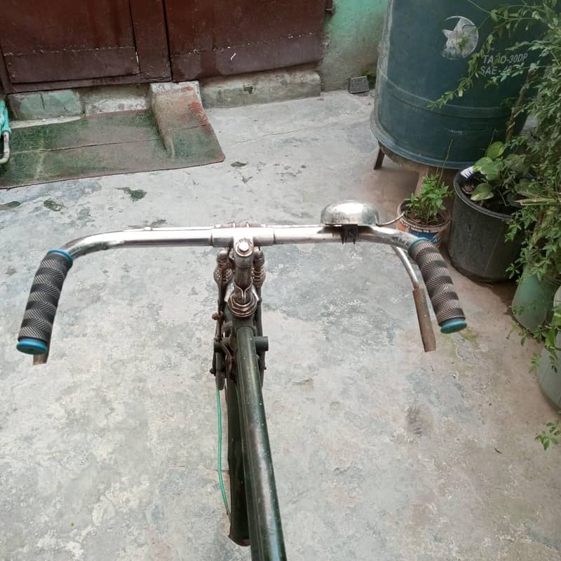 Cycle 6