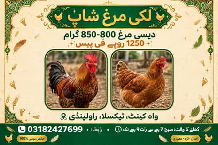 Desi Murgha 800-850 Gram - Golden Misri - 1250 Per Piece - Wah Cantt