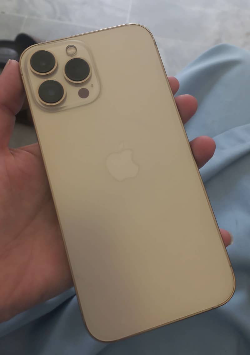 Apple iPhone 13 Pro Max 0